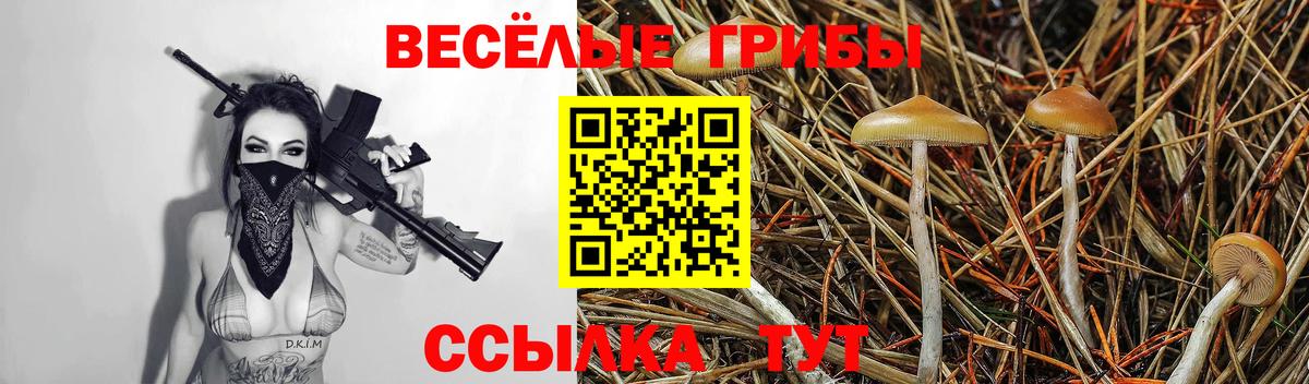 Галлюциногенные грибы Psilocybe  Галлюциногенные грибы мицелий  Котовск  дарнет шоп  Вход с VPN 